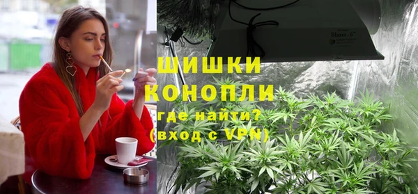 ПСИЛОЦИБИНОВЫЕ ГРИБЫ Елизово