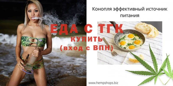 метамфетамин Ельня