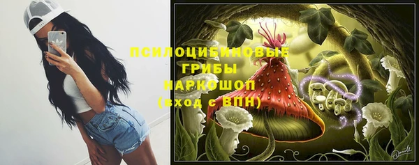 ПСИЛОЦИБИНОВЫЕ ГРИБЫ Елизово