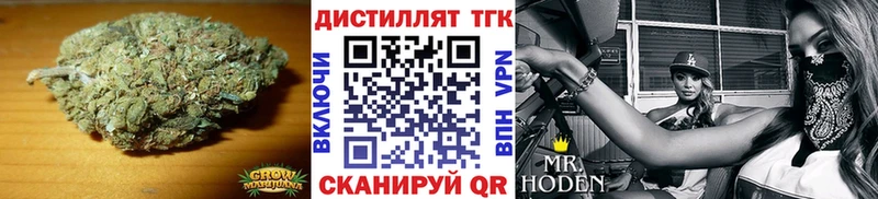 купить   Протвино  ТГК гашишное масло 