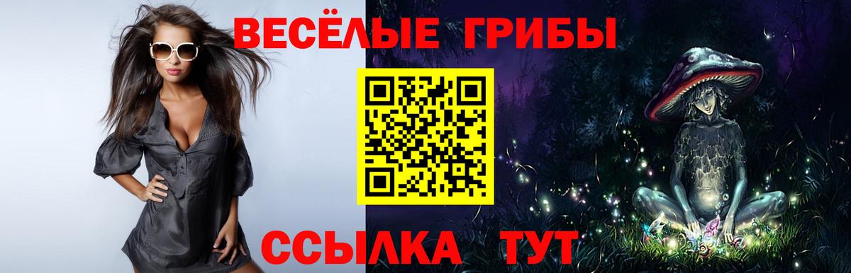 Протвино  Галлюциногенные грибы Magic Shrooms  Вход с VPN  Псилоцибиновые грибы Magic Shrooms 